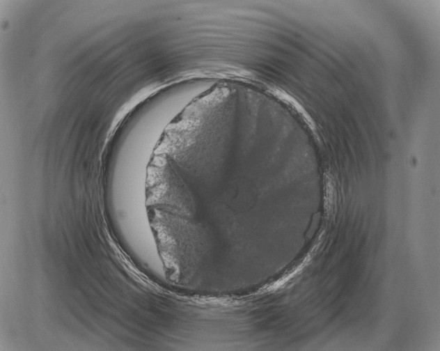 X0000085041114200703191226