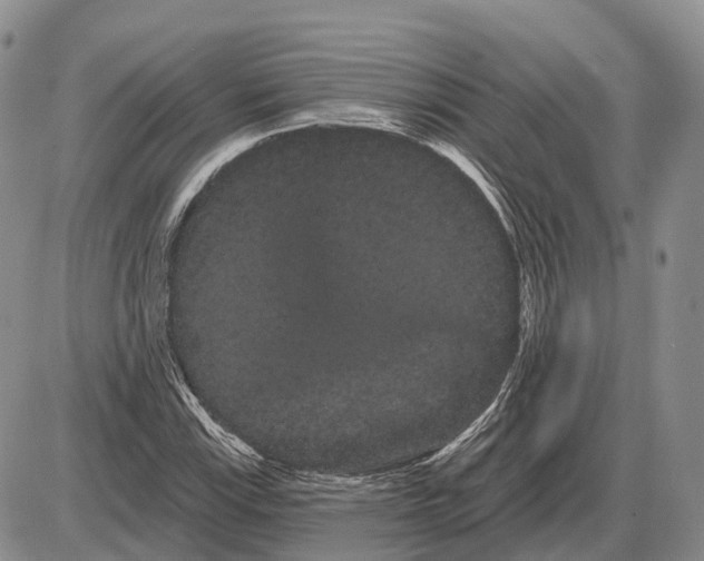 X0000085041115200703191226