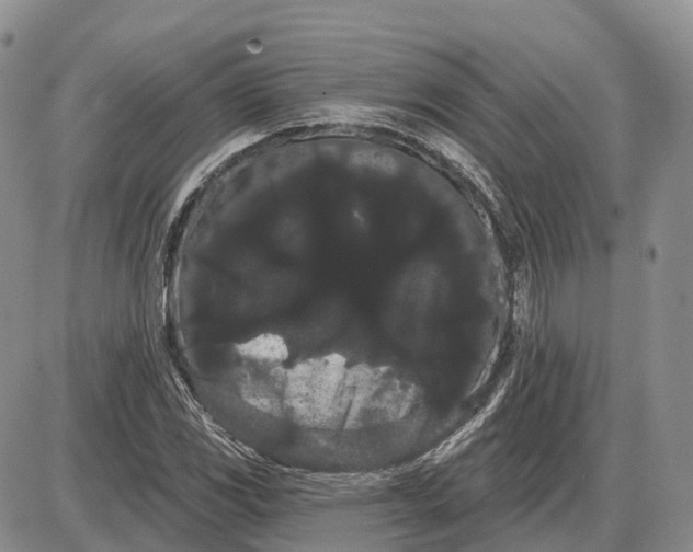 X0000085041117200703191226