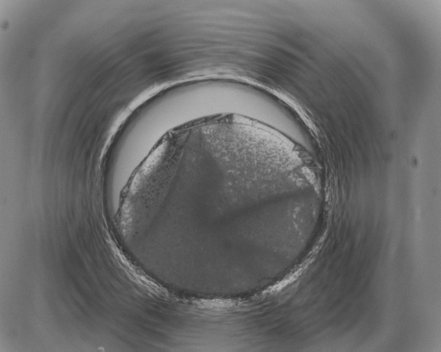 X0000085041118200703191226