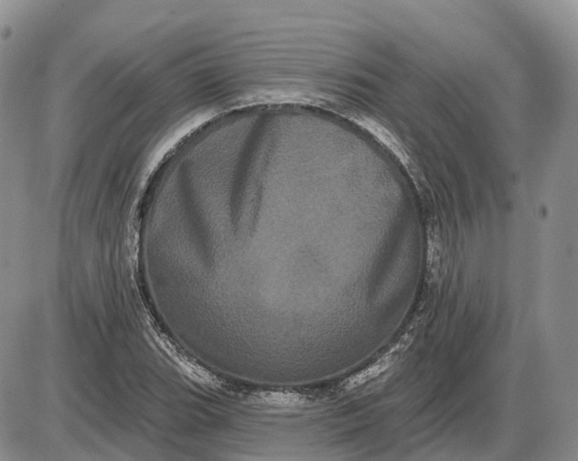 X0000085041119200703191226