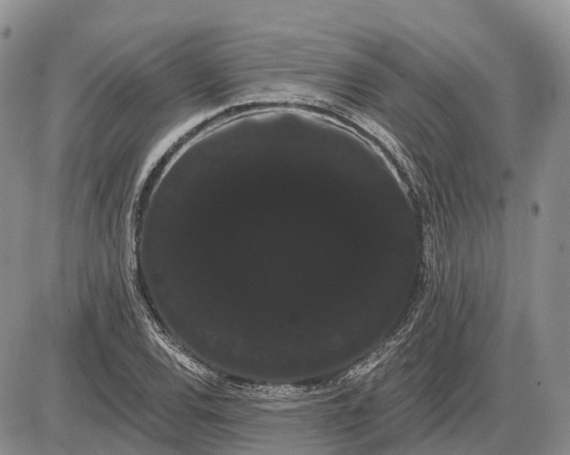 X0000085041120200703191226