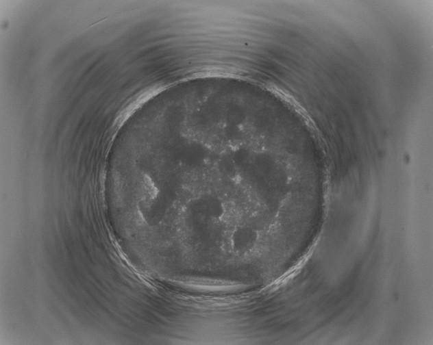 X0000085041121200703191226