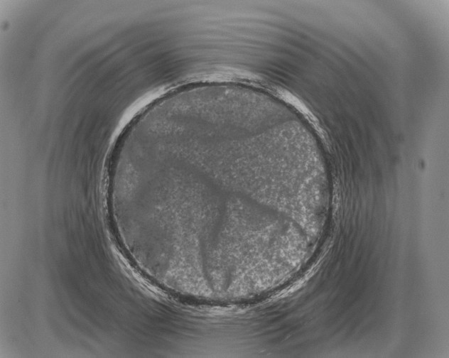 X0000085041122200703191226