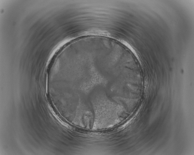 X0000085041123200703191226