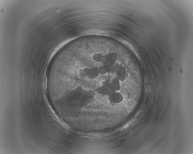 X0000085041125200703191226