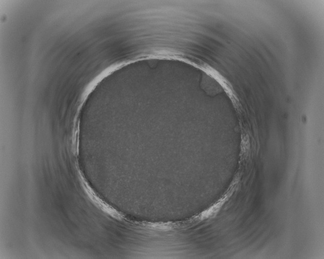 X0000085041126200703191226