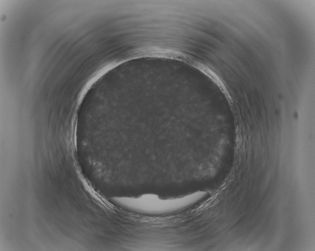 X0000085041128200703191226