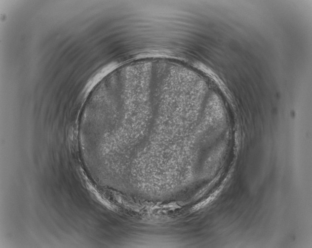 X0000085041129200703191226