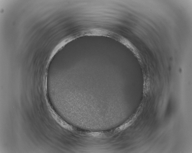 X0000085041130200703191226