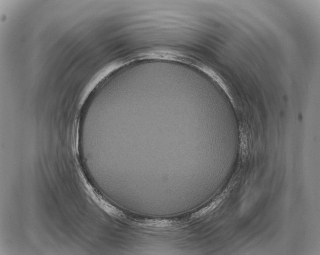 X0000085041131200703191226