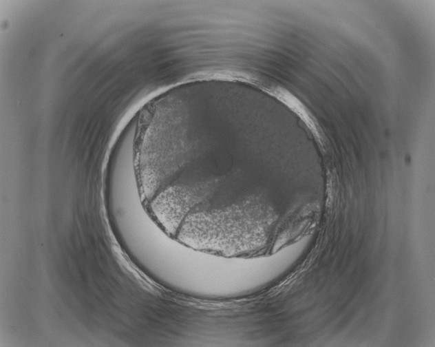 X0000085041132200703191226