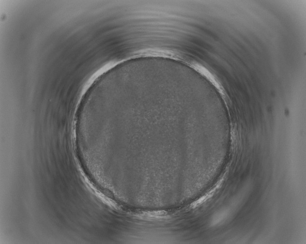 X0000085041133200703191226