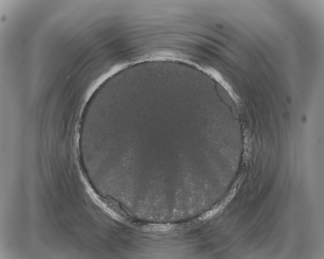 X0000085041134200703191226