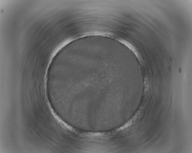 X0000085041135200703191226