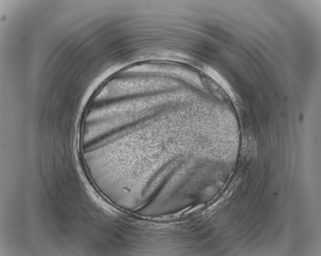 X0000085041136200703191226