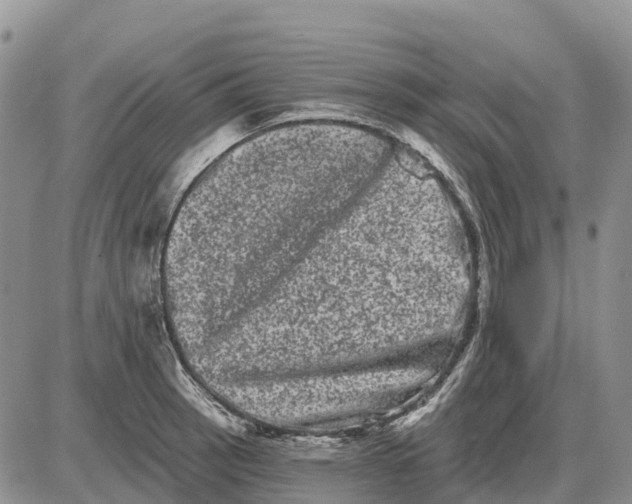 X0000085041137200703191226