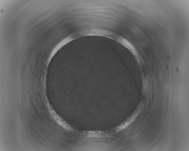 X0000085041138200703191226