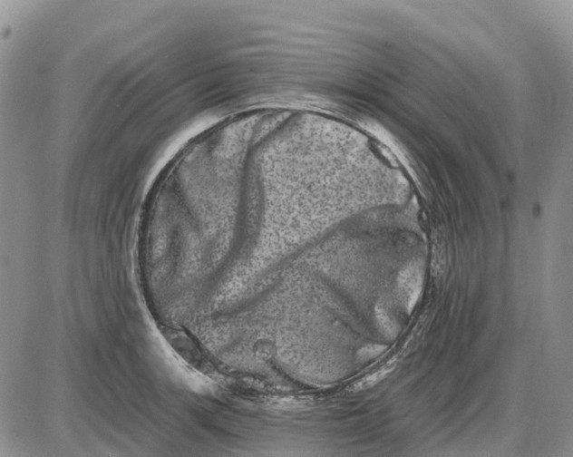 X0000085041139200703191226