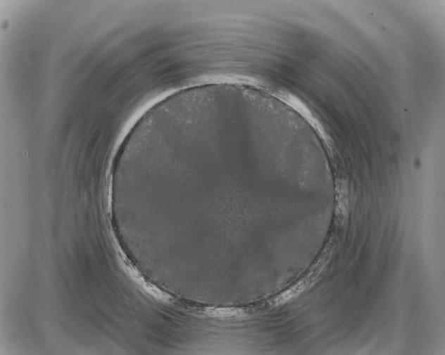 X0000085041140200703191226