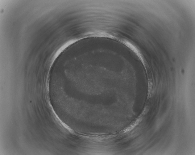 X0000085041141200703191226