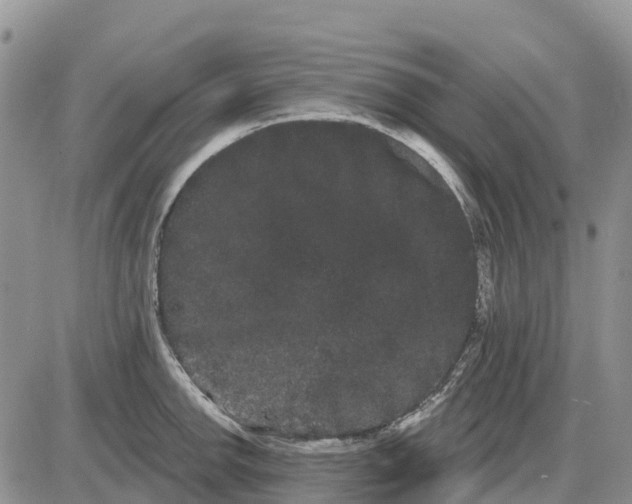 X0000085041142200703191226