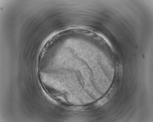 X0000085041143200703191226