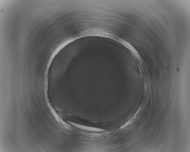 X0000085041144200703191226