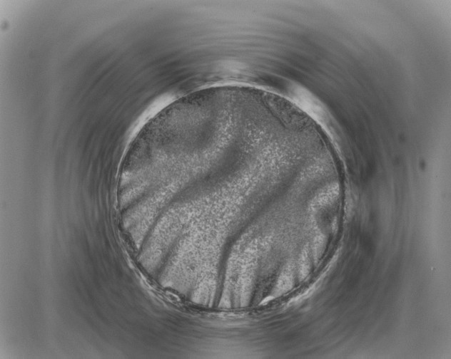 X0000085041145200703191226