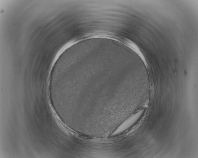 X0000085041146200703191226