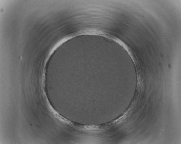 X0000085041147200703191226