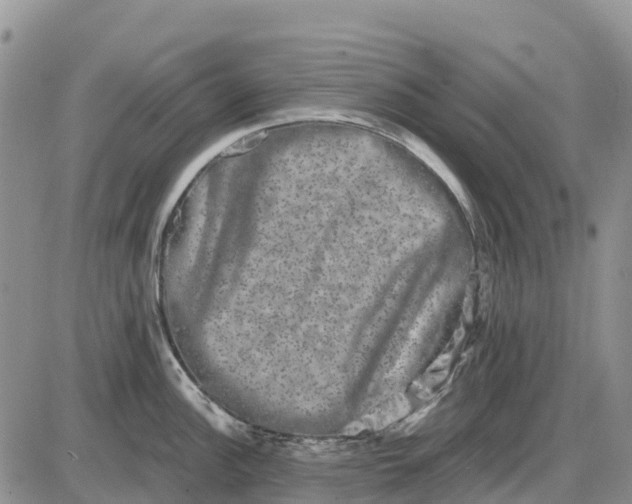 X0000085041148200703191226