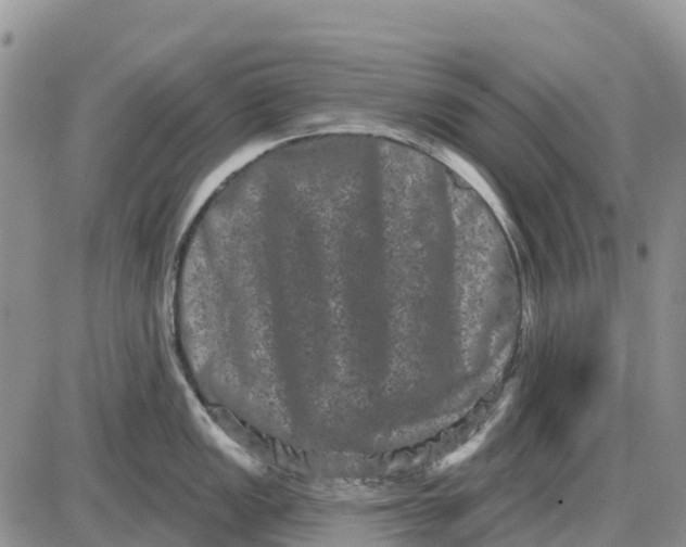 X0000085041149200703191226