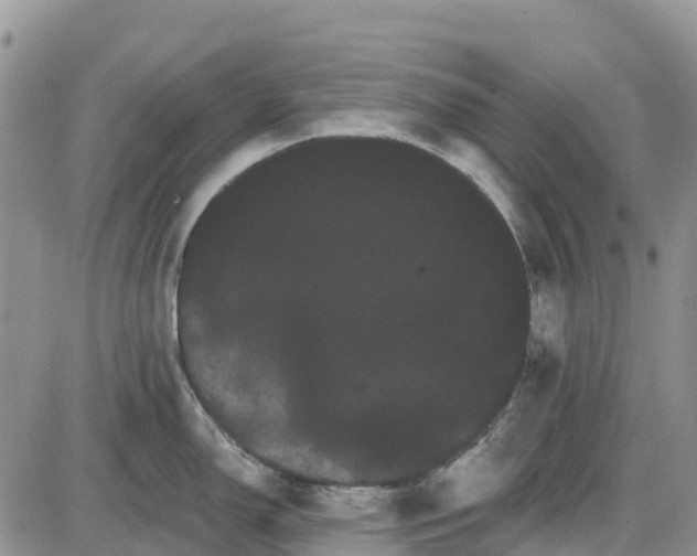 X0000085041150200703191226