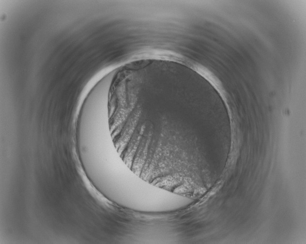 X0000085041152200703191226