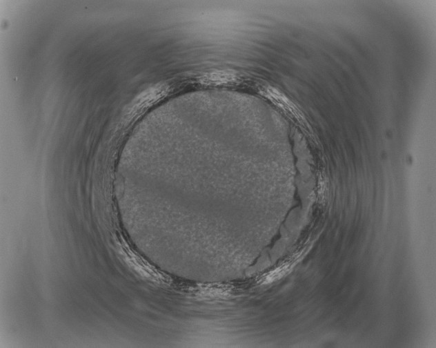 X0000085041153200703191226