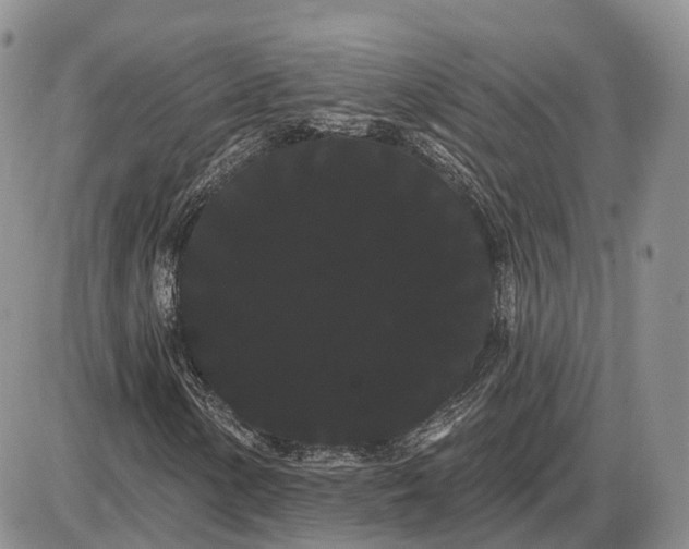 X0000085041154200703191226