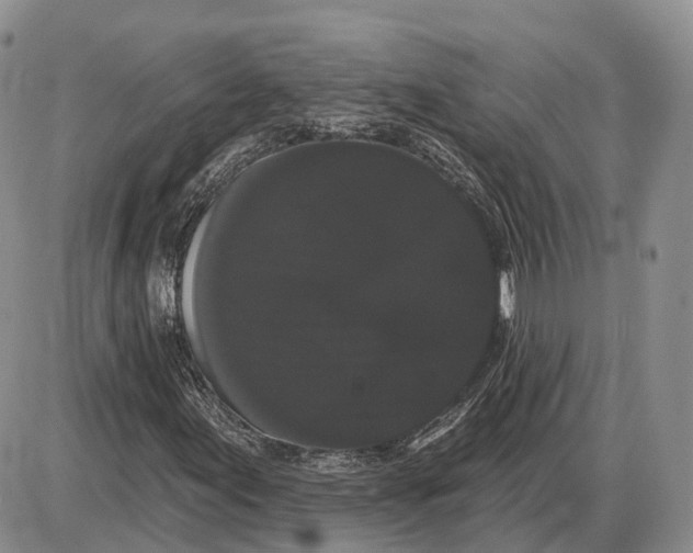 X0000085041155200703191226