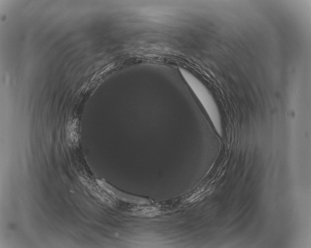 X0000085041156200703191226