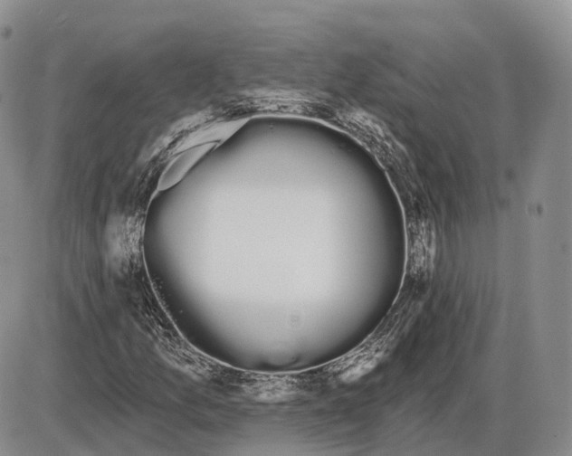 X0000085041157200703191226