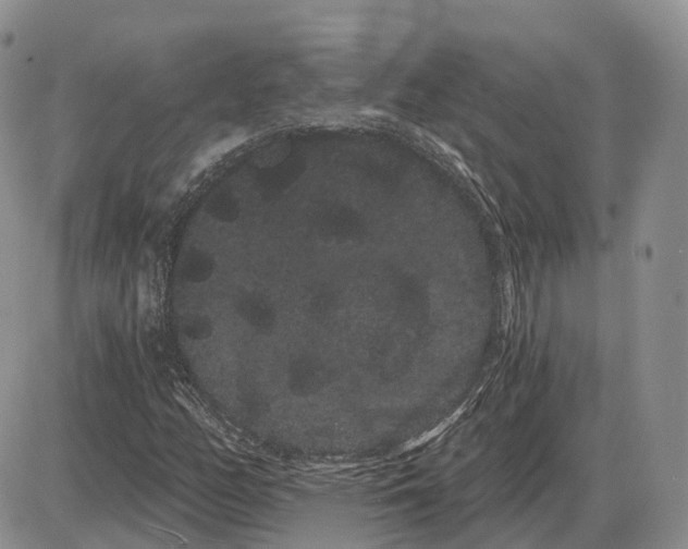 X0000085041158200703191226