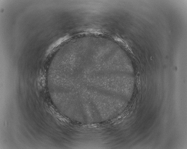 X0000085041159200703191226