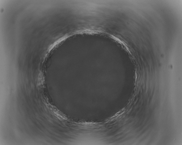 X0000085041160200703191226