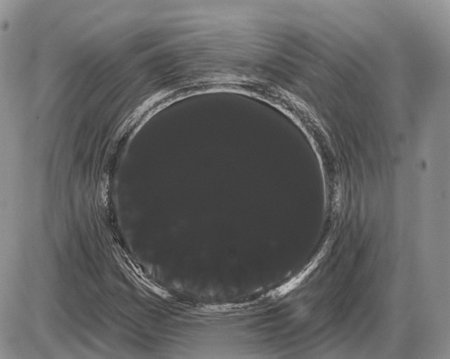 X0000085041161200703191225