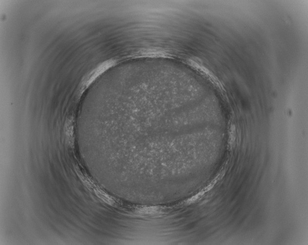 X0000085041162200703191225