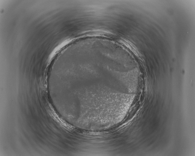 X0000085041164200703191225