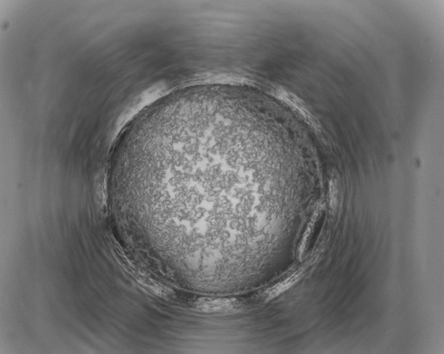 X0000085041165200703191225