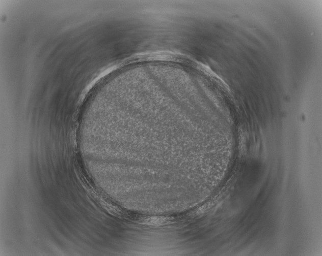 X0000085041166200703191225