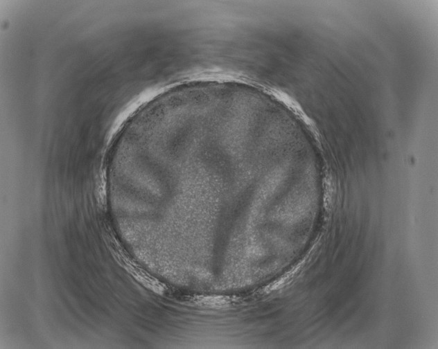 X0000085041167200703191225