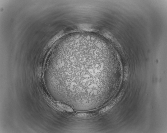 X0000085041169200703191225